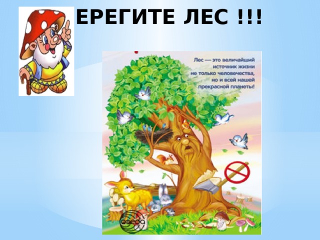 БЕРЕГИТЕ ЛЕС !!! 