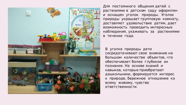 Для  постоянного  общения детей  с  растениями в  детском  саду  оформлен  и  оснащен  уголок  природы. Уголок  природы  украшает групповую  комнату, доставляет  удовольствие  детям, дает  возможность  проводить интересные  наблюдения, ухаживать  за   растениями  в  течение  года. В  уголке  природы  дети  сосредотачивают свое  внимание на  большом  количестве  объектов, что  обеспечивает более  глубокое  их  познание. На  основе знаний  и  навыков, которые приобретают  дошкольники, формируется  интерес  к  природе, бережное  отношение  ко  всему  живому, чувство  ответственности. 