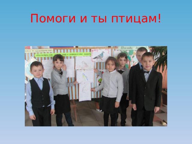 Помоги и ты птицам! 