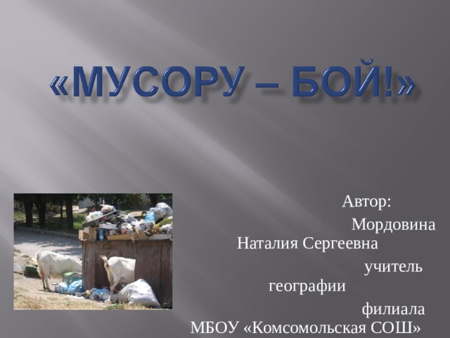 Автор: Мордовина Наталия Сергеевна учитель географии филиала МБОУ «Комсомольская СОШ» в поселке совхоза «Селезнёвский» 