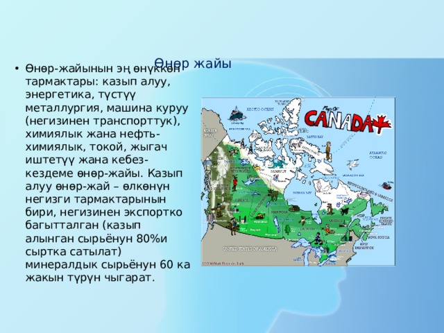 Өнөр жайы    Өнөр-жайынын эң өнүккөн тармактары: казып алуу, энергетика, түстүү металлургия, машина куруу (негизинен транспорттук), химиялык жана нефть-химиялык, токой, жыгач иштетүү жана кебез-кездеме өнөр-жайы. Казып алуу өнөр-жай – өлкөнүн негизги тармактарынын бири, негизинен экспортко багытталган (казып алынган сырьёнун 80%и сыртка сатылат) минералдык сырьёнун 60 ка жакын түрүн чыгарат. 