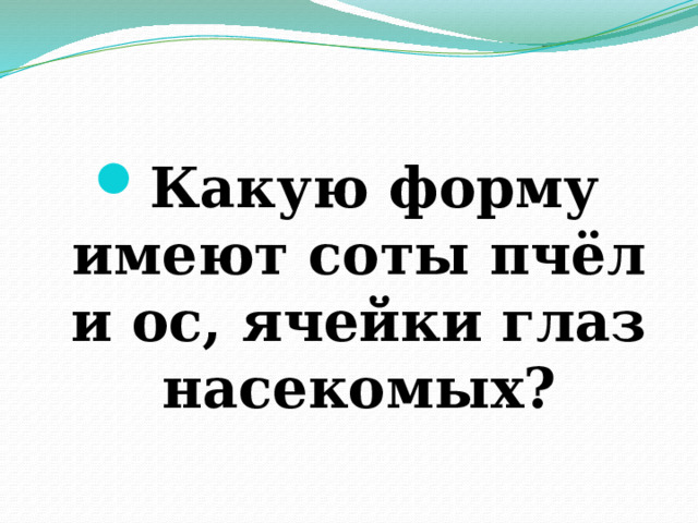 Какую форму имеют соты пчёл и ос, ячейки глаз насекомых? 