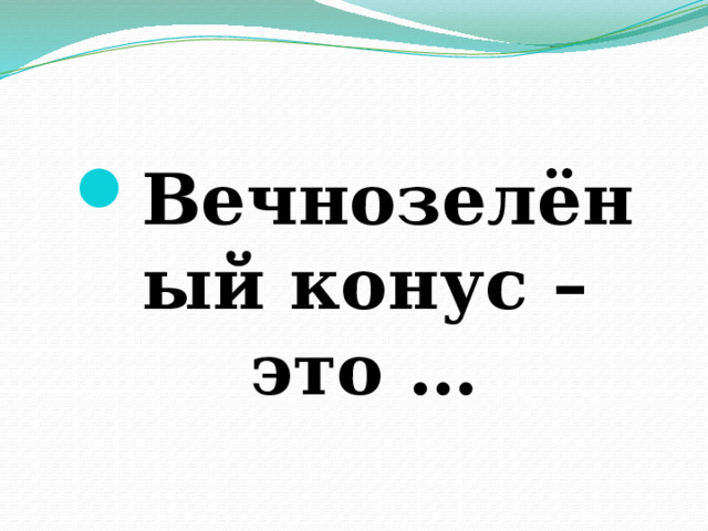 Вечнозелёный конус – это … 