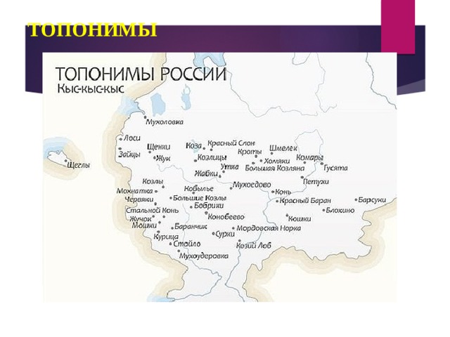 ТОПОНИМЫ 