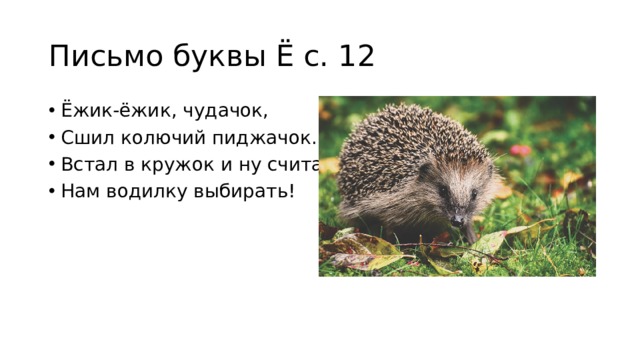 Письмо буквы Ё с. 12 Ёжик-ёжик, чудачок, Сшил колючий пиджачок. Встал в кружок и ну считать, Нам водилку выбирать! 