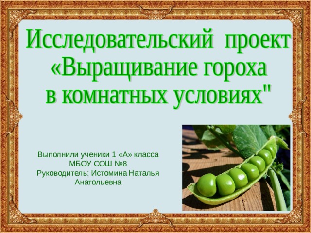 Выполнили ученики 1 «А» класса МБОУ СОШ №8 Руководитель: Истомина Наталья Анатольевна 