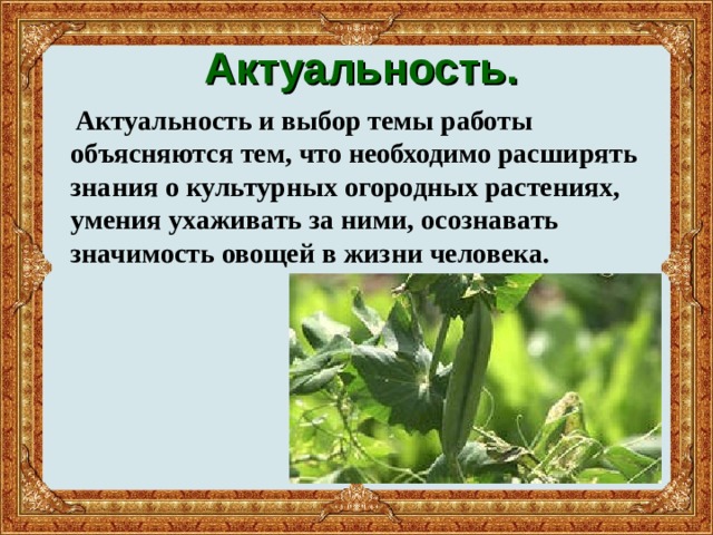  Актуальность.  Актуальность и выбор темы работы объясняются тем, что необходимо расширять знания о культурных огородных растениях, умения ухаживать за ними, осознавать значимость овощей в жизни человека. 
