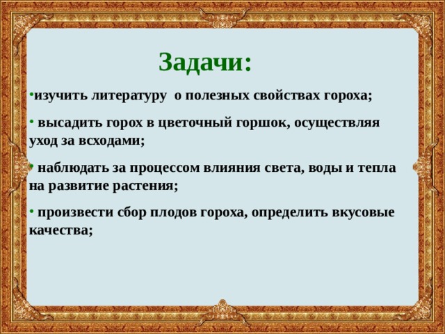  Задачи: изучить литературу о полезных свойствах гороха;  высадить горох в цветочный горшок, осуществляя уход за всходами;  наблюдать за процессом влияния света, воды и тепла на развитие растения;  произвести сбор плодов гороха, определить вкусовые качества;   