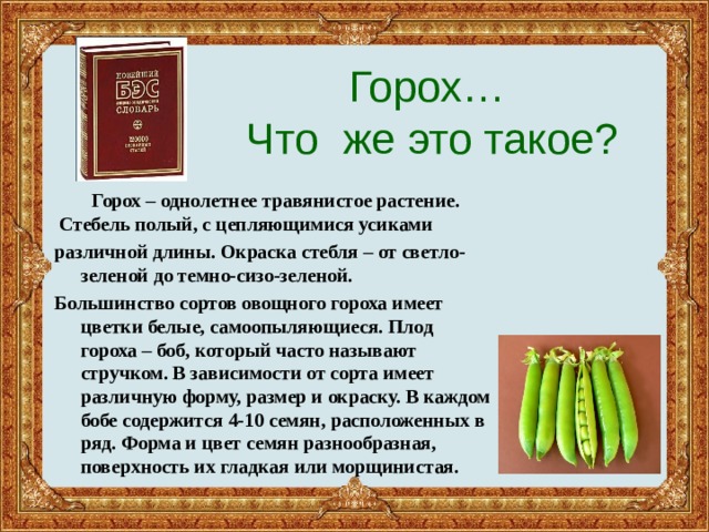  Горох…  Что же это такое?       Горох – однолетнее травянистое растение.  Стебель полый, с цепляющимися усиками различной длины. Окраска стебля – от светло-зеленой до темно-сизо-зеленой. Большинство сортов овощного гороха имеет цветки белые, самоопыляющиеся. Плод гороха – боб, который часто называют стручком. В зависимости от сорта имеет различную форму, размер и окраску. В каждом бобе содержится 4-10 семян, расположенных в ряд. Форма и цвет семян разнообразная, поверхность их гладкая или морщинистая. 