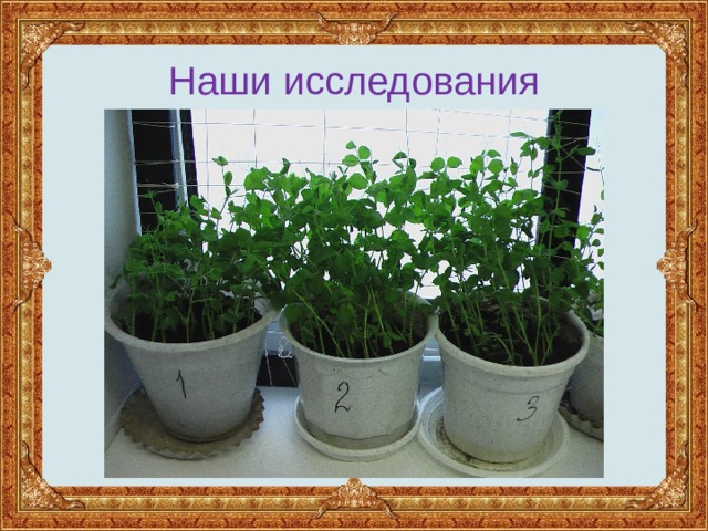 Наши исследования 