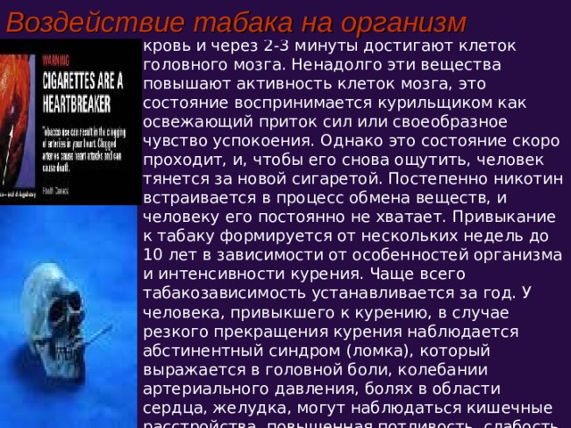 Воздействие табака на организм Составные части табачного дыма всасываются в кровь и через 2-3 минуты достигают клеток головного мозга. Ненадолго эти вещества повышают активность клеток мозга, это состояние воспринимается курильщиком как освежающий приток сил или своеобразное чувство успокоения. Однако это состояние скоро проходит, и, чтобы его снова ощутить, человек тянется за новой сигаретой. Постепенно никотин встраивается в процесс обмена веществ, и человеку его постоянно не хватает. Привыкание к табаку формируется от нескольких недель до 10 лет в зависимости от особенностей организма и интенсивности курения. Чаще всего табакозависимость устанавливается за год. У человека, привыкшего к курению, в случае резкого прекращения курения наблюдается абстинентный синдром (ломка), который выражается в головной боли, колебании артериального давления, болях в области сердца, желудка, могут наблюдаться кишечные расстройства, повышенная потливость, слабость, вялость, нервозность, подавленность. 