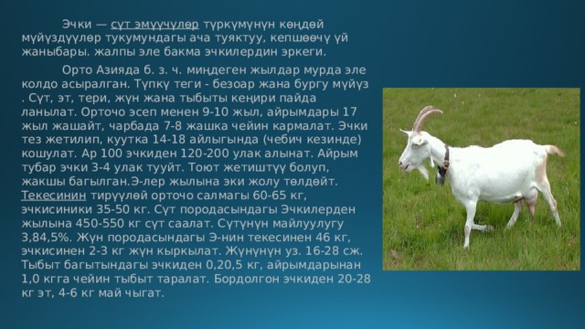  Эчки —  сүт  эмүүчүлөр  түркүмүнүн көңдөй мүйүздүүлөр тукумундагы ача туяктуу, кепшөөчү үй жаныбары. жалпы эле бакма эчкилердин эркеги.  Орто Азияда б. з. ч. миңдеген жылдар мурда эле колдо асыралган. Түпкү теги - безоар жана бургу мүйүз . Сүт, эт, тери, жүн жана тыбыты кеңири пайда ланылат. Орточо эсеп менен 9-10 жыл, айрымдары 17 жыл жашайт, чарбада 7-8 жашка чейин кармалат. Эчки тез жетилип, куутка 14-18 айлыгында (чебич кезинде) кошулат. Ар 100 эчкиден 120-200 улак алынат. Айрым тубар эчки 3-4 улак тууйт. Тоют жетиштүү болуп, жакшы багылган.Э-лер жылына эки жолу төлдөйт.   Текесинин  тирүүлөй орточо салмагы 60-65 кг, эчкисиники 35-50 кг. Сүт породасындагы Эчкилерден жылына 450-550 кг сүт саалат. Сүтүнүн майлуулугу 3,84,5%. Жүн породасындагы Э-нин текесинен 46 кг, эчкисинен 2-3 кг жүн кыркылат. Жүнүнүн уз. 16-28 сж. Тыбыт багытындагы эчкиден 0,20,5 кг, айрымдарынан 1,0 кгга чейин тыбыт таралат. Бордолгон эчкиден 20-28 кг эт, 4-6 кг май чыгат. 