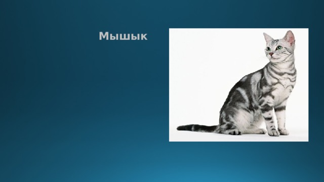   Мышык 