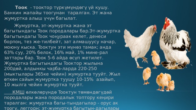  Тooк   - тооктор түркүмүндөгү үй кушу. Банкин жапайы тоогунан таралган. Эт жана жумуртка алыш үчүн багылат.  Жумуртка, эт-жумуртка жана эт багытындагы Tooк породалары бар.Эт-жумуртка багытындагы Tooк чоңураак келет, денеси борпоң, тез же-тилбейт, зат алмашуусу начар, моюну кыска. Tooктун эти мүнөз тамак; анда 63% суу, 20% белок, 16% май, 1% мине-рал заттары бар. Tooк 5-6 айда өсүп жетилет. Жумуртка багытындагы Tooктор жылына 200дөй, алдынкы чарба-ларда 220-250 (мыктылары 365ке чейин) жумуртка тууйт. Жыл өткөн сайын жумуртка туушу 10-15% азайып, 10 жылга чейин жумуртка тууйт. КМШ  өлкөлөрүндө Tooктун төмөндөгүдөй породалары жана породалык топтору кеңири таралган: жумуртка багы-тындагылар - орус ак тоогу, леггорн; эт-жумуртка багытын-дагылары - австралорп, ераван тоогу, Загорск тоогу, кучин тоогу,  Москва  тоогу : эт багытындагы– корноуэлл тоо-гу,   Кыргызстанда  леггорн, плимутрок жана нью-гемпшир Tooктору аргындаштырылып, кыргыз тоогунун породала-рынын тобу чыгарылган. Tooктун жүнү менен тыбыты жеңил өнөр жайында керектелет, кыгы жер семирткич болот. 