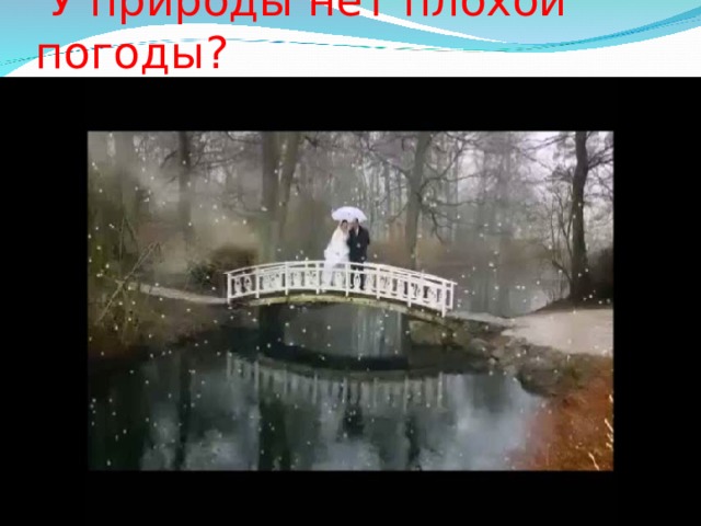  У природы нет плохой погоды? 