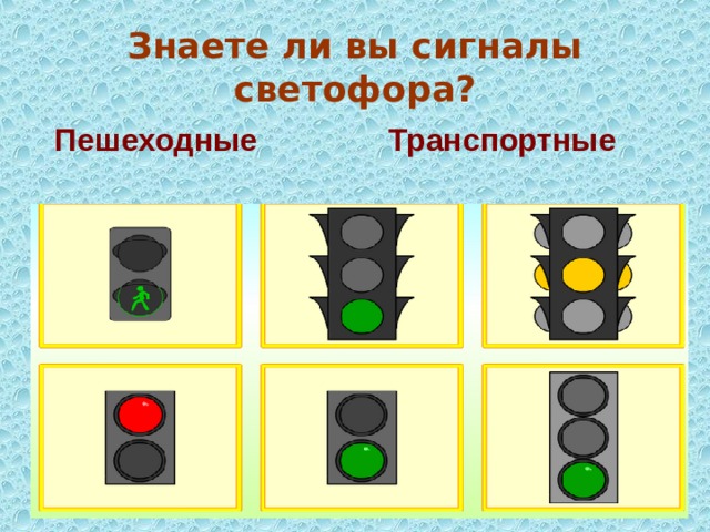 Знаете ли вы сигналы светофора? Пешеходные Транспортные 
