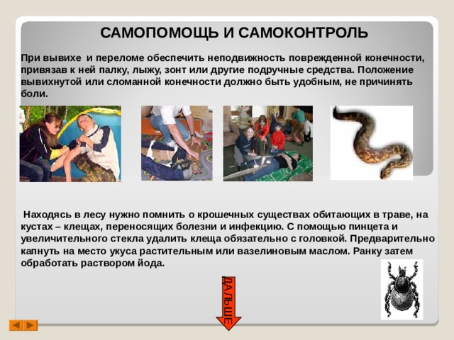 ДАЛЬШЕ САМОПОМОЩЬ И САМОКОНТРОЛЬ При вывихе и переломе обеспечить неподвижность поврежденной конечности, привязав к ней палку, лыжу, зонт или другие подручные средства. Положение вывихнутой или сломанной конечности должно быть удобным, не причинять боли.           Находясь в лесу нужно помнить о крошечных существах обитающих в траве, на кустах – клещах, переносящих болезни и инфекцию. С помощью пинцета и увеличительного стекла удалить клеща обязательно с головкой. Предварительно капнуть на место укуса растительным или вазелиновым маслом. Ранку затем обработать раствором йода. 