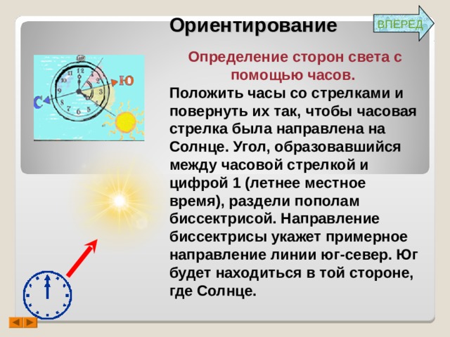 ВПЕРЕД Ориентирование Определение сторон света с помощью часов. Положить часы со стрелками и повернуть их так, чтобы часовая стрелка была направлена на Солнце. Угол, образовавшийся между часовой стрелкой и цифрой 1 (летнее местное время), раздели пополам биссектрисой. Направление биссектрисы укажет примерное направление линии юг-север. Юг будет находиться в той стороне, где Солнце. 