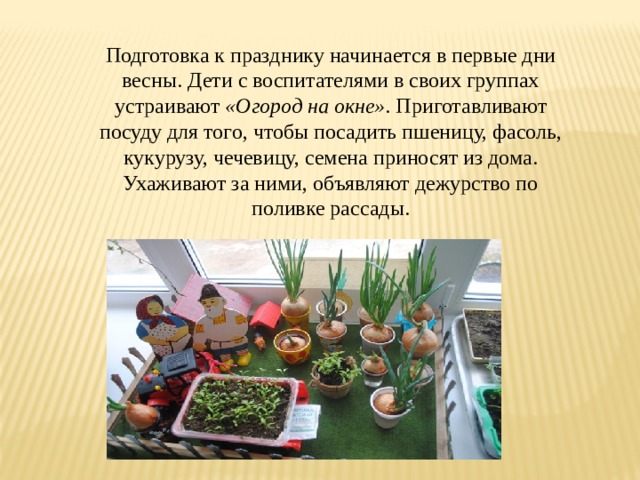 Подготовка к празднику начинается в первые дни весны. Дети с воспитателями в своих группах устраивают  «Огород на окне» . Приготавливают посуду для того, чтобы посадить пшеницу, фасоль, кукурузу, чечевицу, семена приносят из дома. Ухаживают за ними, объявляют дежурство по поливке рассады. 