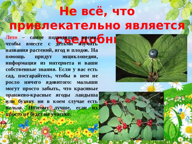 Не всё, что привлекательно является съедобным! Лето – самое подходящее время, чтобы вместе с детьми изучить названия растений, ягод и плодов. На помощь придут энциклопедии, информация из интернета и ваши собственные знания. Если у вас есть сад, постарайтесь, чтобы в нем не росло ничего ядовитого: малыши могут просто забыть, что красивые оранжево-красные ягоды ландыша или бузину ни в коем случае есть нельзя. Поэтому лучше, если их просто не будет на участке. 