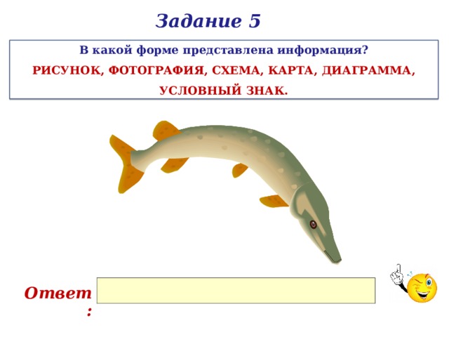 Задание 5 В какой форме представлена информация? РИСУНОК, ФОТОГРАФИЯ, СХЕМА, КАРТА, ДИАГРАММА, УСЛОВНЫЙ ЗНАК. Ответ: 