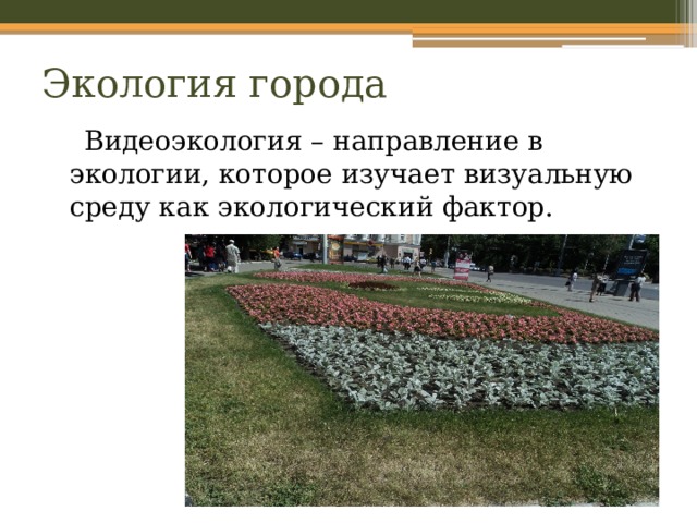 Экология города  Видеоэкология – направление в экологии, которое изучает визуальную среду как экологический фактор. 