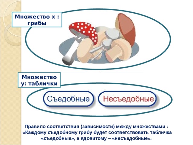 Множество х  : грибы Множество y : таблички Правило соответствия (зависимости) между множествами :  «Каждому съедобному грибу будет соответствовать табличка «съедобные», а ядовитому – «несъедобные». 