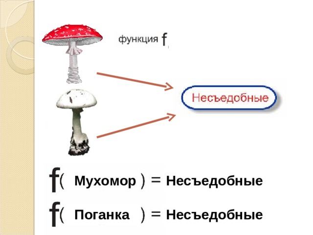  Мухомор Несъедобные  Поганка Несъедобные 