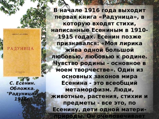 В 1915 году Есенин приезжает в Петроград, встречается с Блоком, который оценил «свежие, чистые, голосистые» стихи «талантливого крестьянского поэта-самородка», помог ему, познакомил с писателями и издателями. Осенью 1915 г. он входит в литературную группу «Краса» и литературно-художественное общество «Страда». А. А. Блок Фотография. 1916 