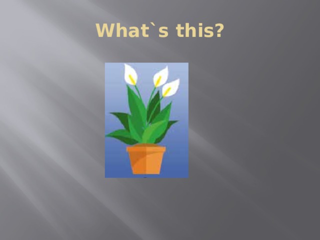 What`s this? 