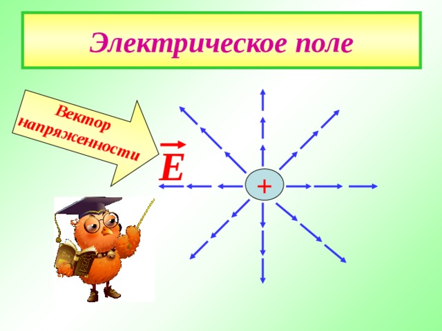 Вектор  напряженности  Электрическое поле Е + 