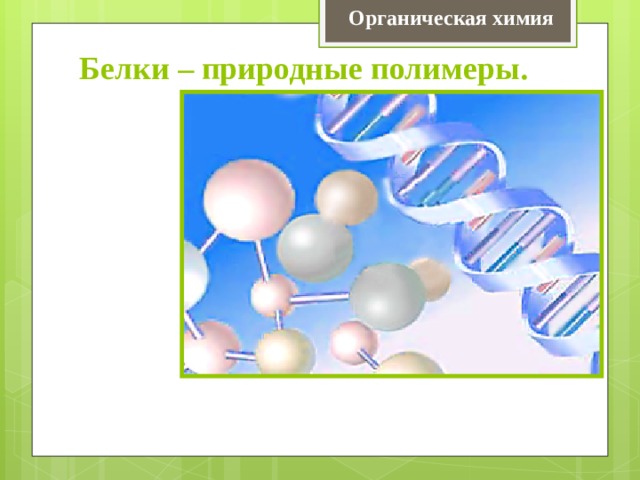 Органическая химия Белки – природные полимеры. 