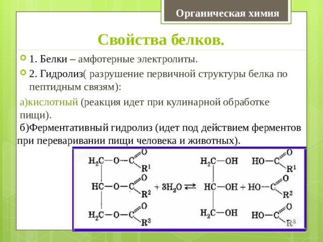 Органическая химия Свойства белков. 1. Белки – амфотерные электролиты. 2. Гидролиз ( разрушение первичной структуры белка по пептидным связям): а)кислотный (реакция идет при кулинарной обработке пищи).  б)Ферментативный гидролиз (идет под действием ферментов при переваривании пищи человека и животных). 
