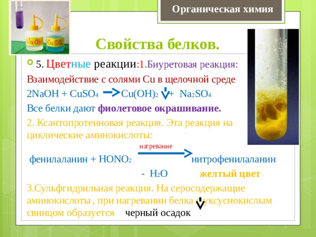 Органическая химия Свойства белков. 5. Цвет ные реакции :1 . Биуретовая реакция: Взаимодействие с солями Cu в щелочной среде 2NaOH + CuSO 4 Cu(OH) 2 + Na 2 SO 4 Все белки дают фиолетовое окрашивание.  2. Ксантопротеиновая реакция. Эта реакция на циклические аминокислоты:  нагревание  фенилаланин + НОNО 2 нитрофенилаланин  - Н 2 О  желтый цвет  3.Сульфгидрильная реакция. На серосодержащие аминокислоты  , при нагревании белка с уксуснокислым свинцом образуется черный осадок . 
