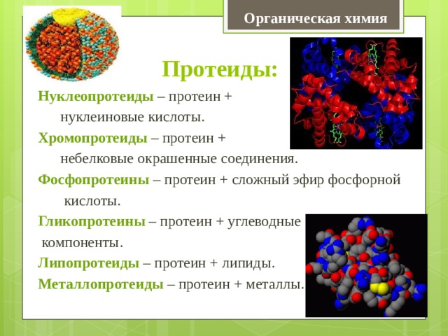 Органическая химия Протеиды: Нуклеопротеиды – протеин +  нуклеиновые кислоты. Хромопротеиды – протеин +  небелковые окрашенные соединения. Фосфопротеины – протеин + сложный эфир фосфорной  кислоты. Гликопротеины – протеин + углеводные  компоненты. Липопротеиды – протеин + липиды. Металлопротеиды – протеин + металлы. 