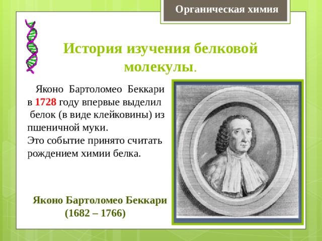 Органическая химия История изучения белковой молекулы .  Яконо Бартоломео Беккари в 1728 году впервые выделил  белок (в виде клейковины) из пшеничной муки. Это событие принято считать рождением химии белка.  Яконо Бартоломео Беккари  (1682 – 1766) 