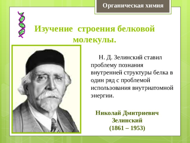 Органическая химия Изучение строения белковой молекулы.  Н. Д. Зелинский ставил проблему познания внутренней структуры белка в один ряд с проблемой использования внутриатомной энергии. Николай Дмитриевич Зелинский (1861 – 1953) 