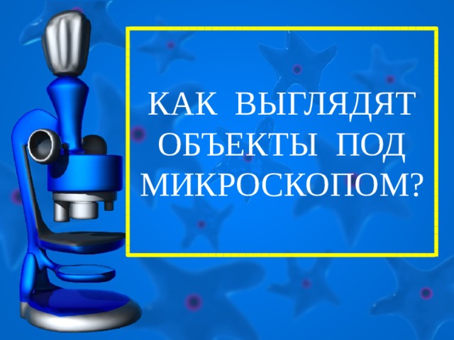 КАК ВЫГЛЯДЯТ ОБЪЕКТЫ ПОД МИКРОСКОПОМ? 