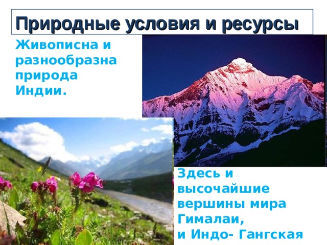 Природные условия и ресурсы Живописна и разнообразна природа Индии.    Здесь и высочайшие вершины мира Гималаи, и Индо- Гангская низменность, и плоскогорье Декан. 