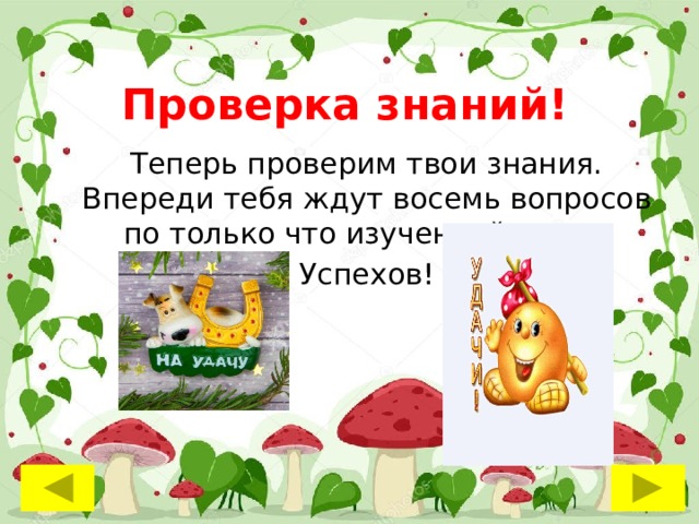 Проверка знаний! Теперь проверим твои знания. Впереди тебя ждут восемь вопросов по только что изученной теме. Успехов! 