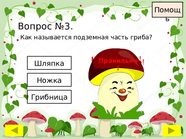 Помощь Вопрос №3. Как называется подземная часть гриба? Неправильно ! Правильно! Неправильно ! Шляпка Ножка Грибница 
