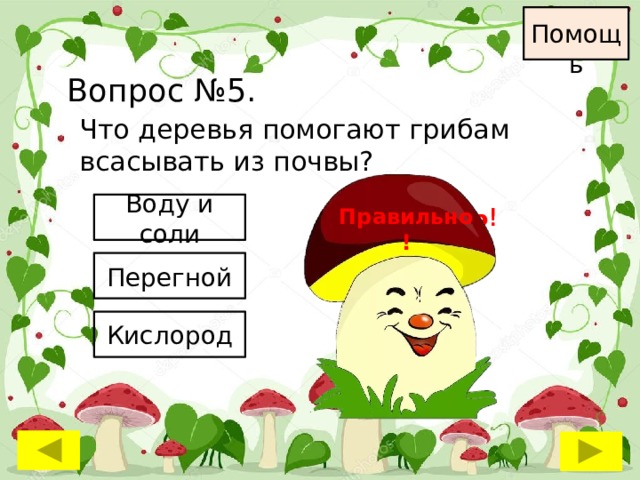 Помощь Вопрос №5. Что деревья помогают грибам всасывать из почвы? Воду и соли Неправильно ! Неправильно ! Правильно! Перегной Кислород 