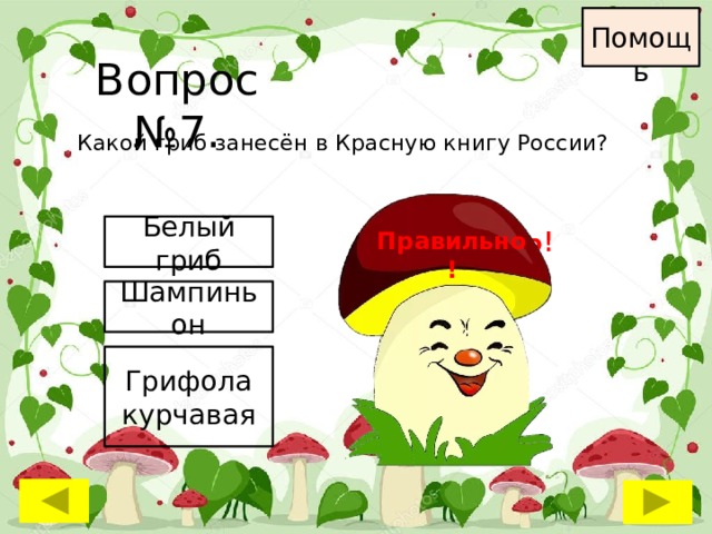 Помощь Вопрос №7. Какой гриб занесён в Красную книгу России? Белый гриб Неправильно ! Неправильно ! Правильно! Шампиньон Грифола курчавая 