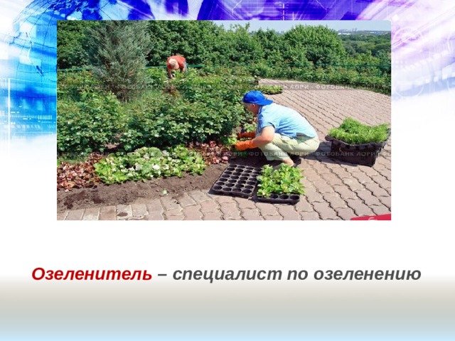 Озеленитель – специалист по озеленению 