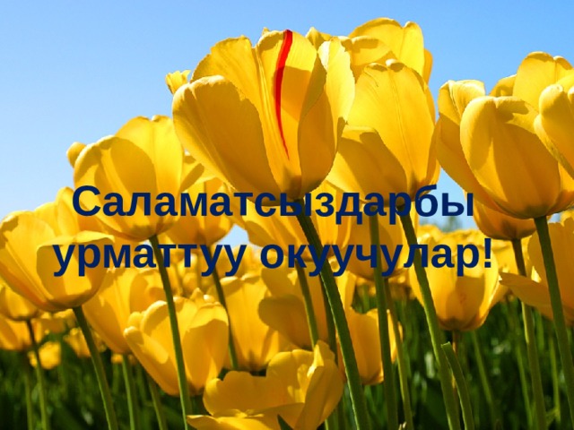 Саламатсыздарбы урматтуу окуучулар! Саламатсыздарбы урматтуу окуучулар! 