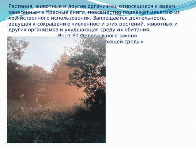 Растения, животные и другие организмы, относящиеся к видам, занесенным в Красные книги, повсеместно подлежат изъятию из хозяйственного использования. Запрещается деятельность, ведущая к сокращению численности этих растений, животных и других организмов и ухудшающая среду их обитания.       Из ст.60 Федерального закона       «Об охране окружающей среды»   