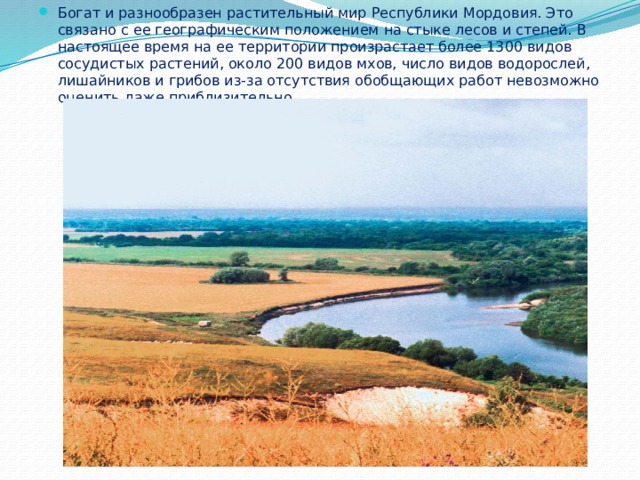 Богат и разнообразен растительный мир Республики Мордовия. Это связано с ее географическим положением на стыке лесов и степей. В настоящее время на ее территории произрастает более 1300 видов сосудистых растений, около 200 видов мхов, число видов водорослей, лишайников и грибов из-за отсутствия обобщающих работ невозможно оценить даже приблизительно. 