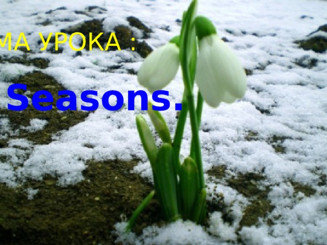 ТЕМА УРОКА :  Seasons. 