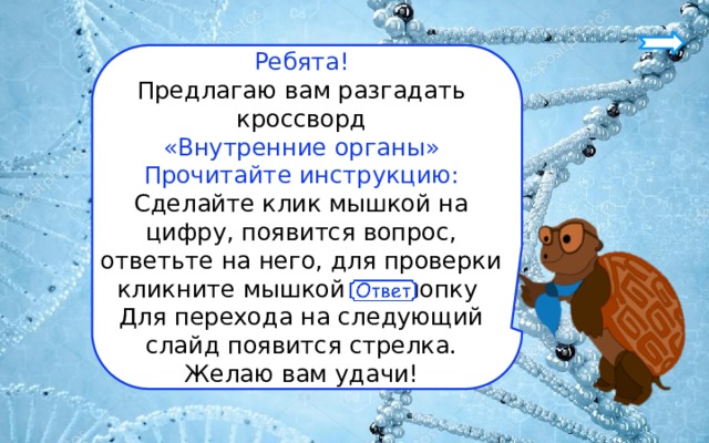 Ребята! Предлагаю вам разгадать кроссворд «Внутренние органы» Прочитайте инструкцию: Сделайте клик мышкой на цифру, появится вопрос, ответьте на него, для проверки кликните мышкой на кнопку Для перехода на следующий слайд появится стрелка. Желаю вам удачи! 