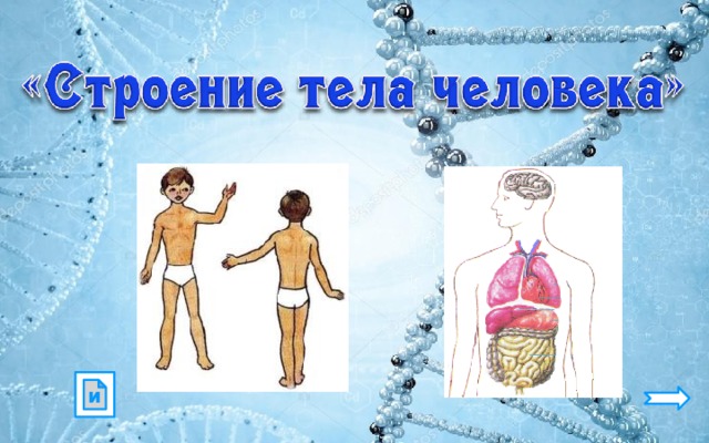 и 